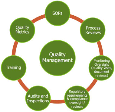 Quality Management Images
