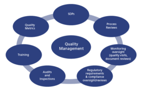 Quality managment structure figure